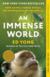 Book cover of An Immense World