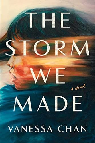 cover of The Storm We Made by Vanessa Chan
